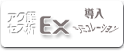 �A�N�Z�X���EX�̓����V�~�����[�V����